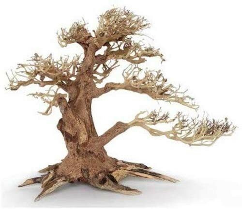 Legno oriental wind sm - oriental,