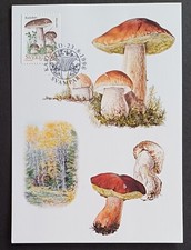 Svezia 1996 Maxi carta massima Fungo Karl-Johan Boletus edilus. Una carta.