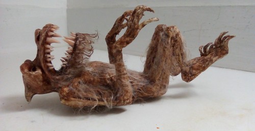 Werewolf fetus sideshow gaff - fetus,
