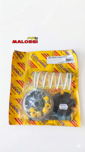 Variatore malossi multivar - variatore,