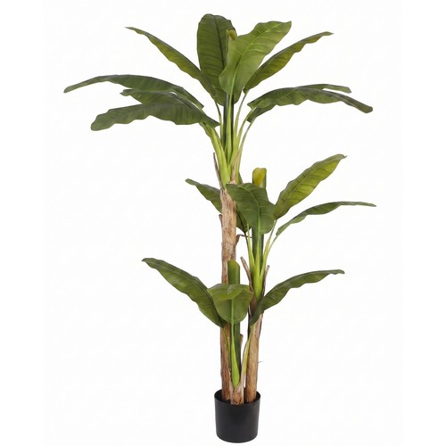 Albero banano artificiale - albero, di