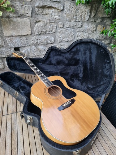 Gilda f50 1975 - gilda,