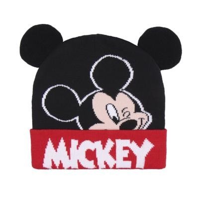 Cappello cuffia con orecchie