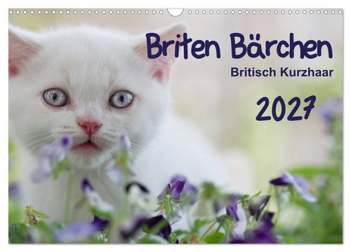 Briten bärchen britsch - bärchen,