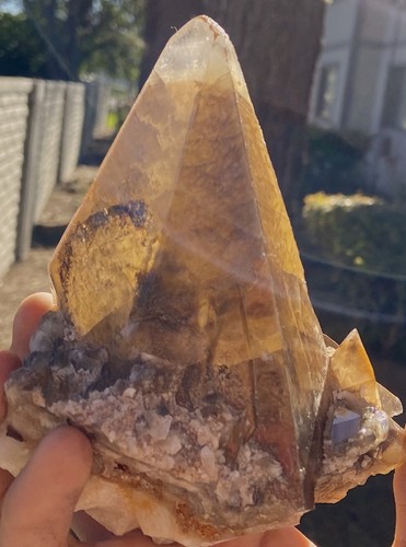 Dente cane calcite dorata - calcite,