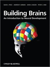 Building brains an - brains:,