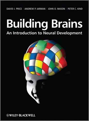 Building brains an - brains:,