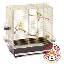 Gabbia Carlotta per Canarini