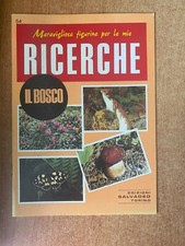 MERAVIGLIOSE FIGURINE PER LE