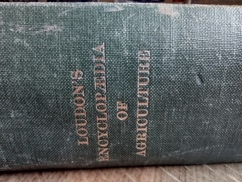 Loudon encyclopaedia of - loudon's,