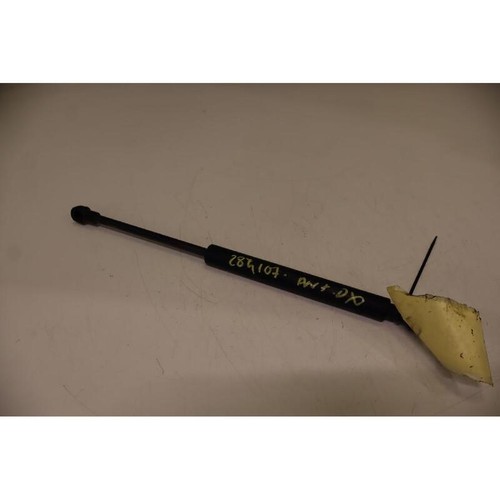 Asta ammortizzante cofano ant - cofano,