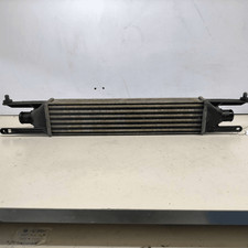 55702237 Scambiatore Aria/Aria FIAT PUNTO EVO (3J) 1.3 Mjt (55Kw) Ber.