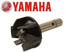 GIRANTE POMPA ACQUA ORIGINALE