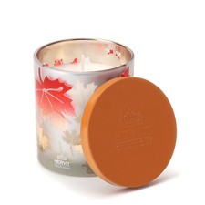 Hervit art. 29102 candela