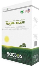 Bottos - ROYAL BLUE - Semi per
