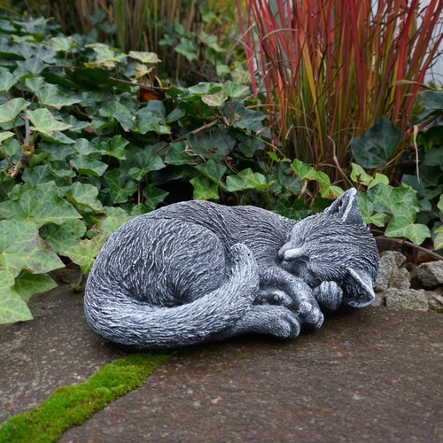 Gatto gattino statua pietra - gattino,