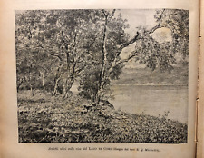 n. 2 incisioni originali