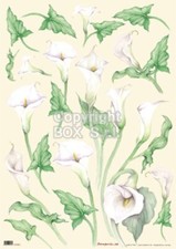 Carta decoupage Calle