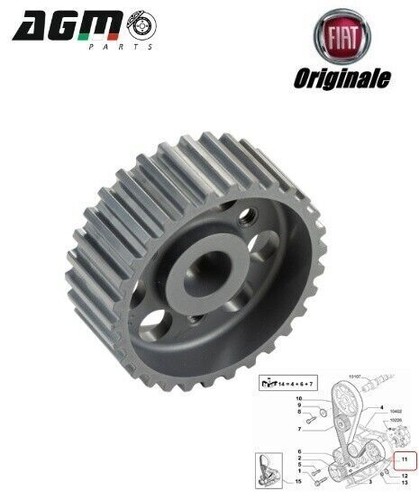Ingranaggio condotto comando - condotto,