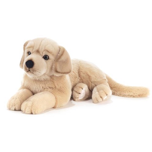 Peluche cane golden retriever - peluche,