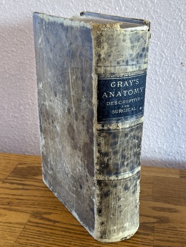 Gray anatomy descriptive - gray’s,