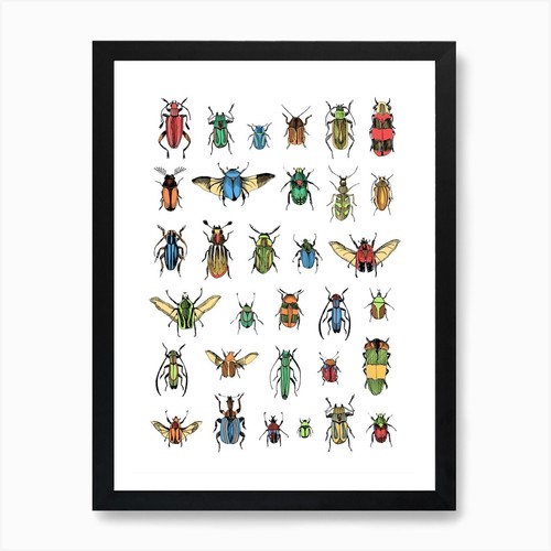 Stampa artistica coleotteri