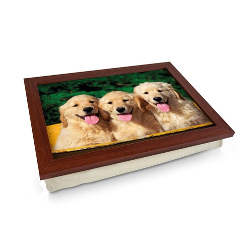 Nuovo regalo per laptop con