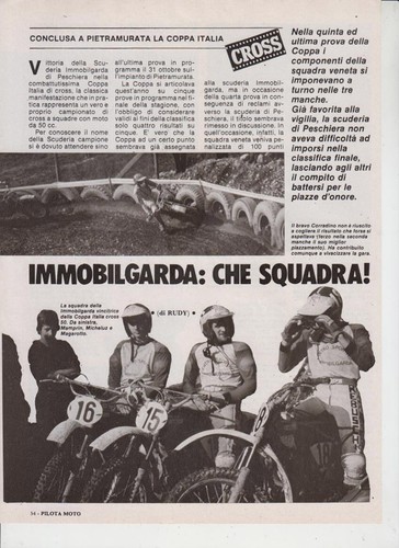 Advertising immobilgarda - ,