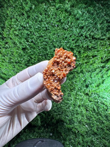 Magnifica vanadinite con - magnifica,