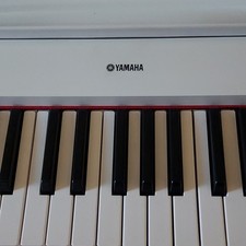 Yamaha Piaggero NP-12 61-Key