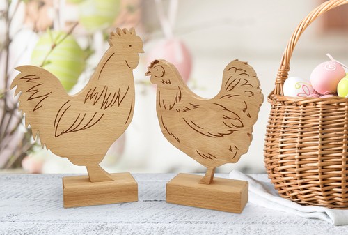 Pollo gallo entrambi come - pollo,,