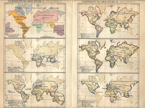 Carta geografica antica