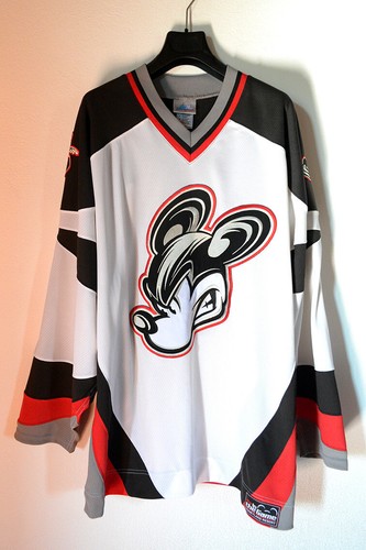 Rare disneyland resort hockey - rare,