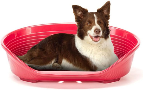 Cuccia per cani - -,
