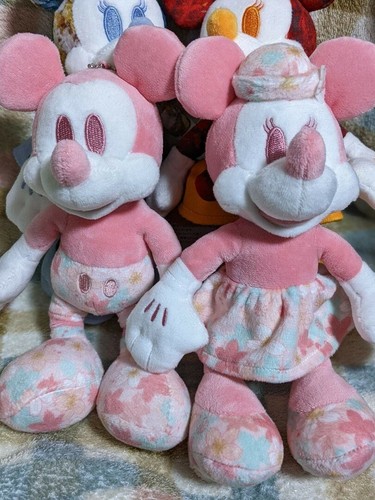 Tokyo disney resort topolino - tokyo, e