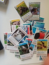 Lotto circa 70 carte WWF Coop