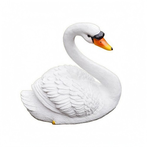 Cigno galleggiante texture - cigno,
