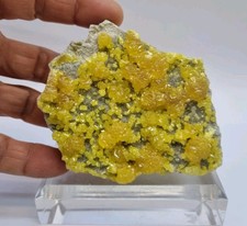 Minerali◇Zolfo Miniera