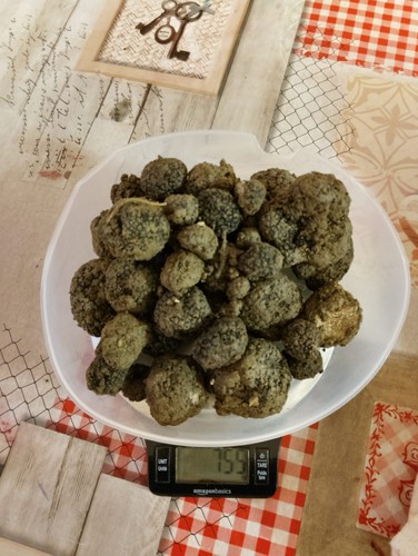 Tartufo nero uncinato fresco - tartufo,