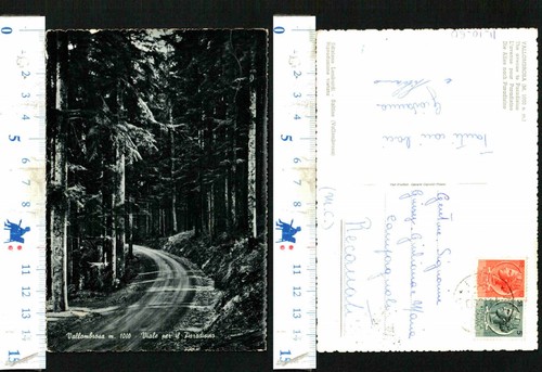 Vallombrosa alt 1000 - vallombrosa, m.