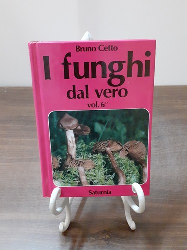 Bruno cetto funghi dal - bruno,