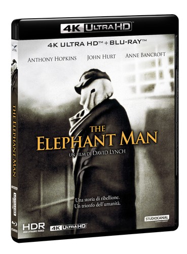 The elephant man - elephant, hd