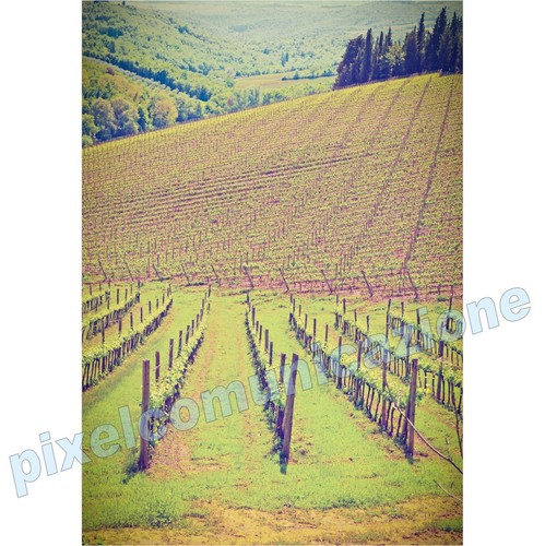Quadri moderni poster arredo - quadri,