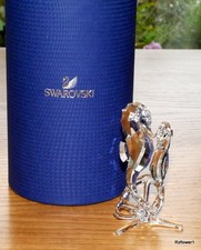 Bellissimi cavalli marini /