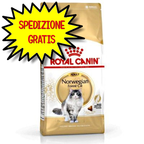 Royal canin gatto adulto - gatto,