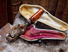 Beautiful dolphin head - dolphin, dragon