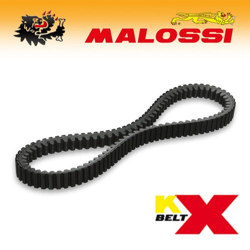 6115803 malossi cinghia - [malossi],