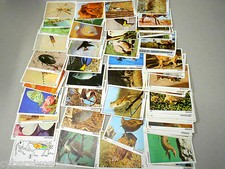 Mondo degli animali album - mondo,