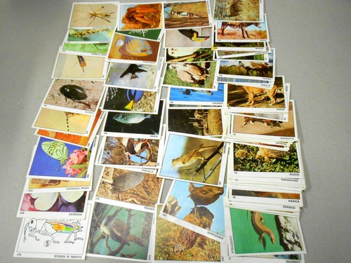 Mondo degli animali album - degli,