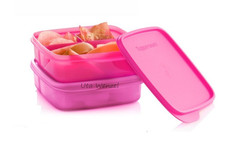 Tupperware Eco+ Pause Box 550